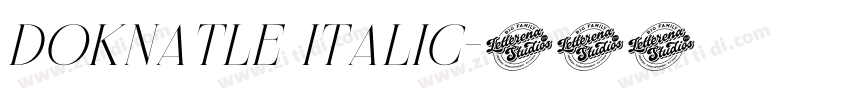 Doknatle Italic字体转换 Doknatle Italic字体转换